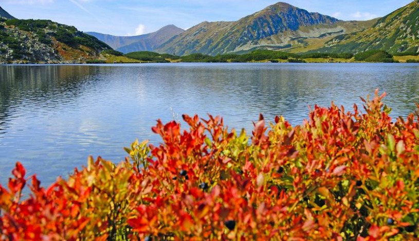 hotel PALACE Vysoké Tatry